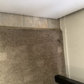 Andy Carpet Care - Still dirty , we don't have pets no stains just regular dirt . - Carpet Cleaning Near Me Andy Carpet Care - Still dirty , we don't have pets no stains just regular dirt . - Carpet Cleaning Near Me