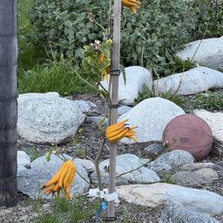 user provided Otto & Sons Nursery photo