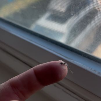 Bright N Fresh OC - Wiping dirt off of the window frame. - Home Cleaning Near Me Bright N Fresh OC - Wiping dirt off of the window frame. - Home Cleaning Near Me