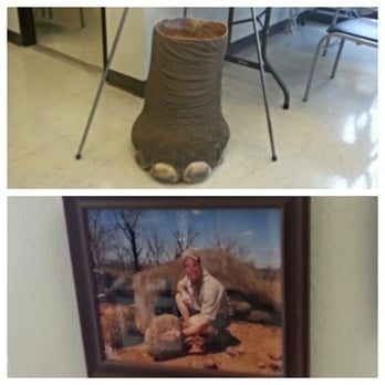 Grand Parkway Tire & Auto - There is a real taxidermy ELEPHANT LEG in the entrance, and trophy photos on the wall of the owner with dead exotic animals - Tires Near Me - Katy, Texas