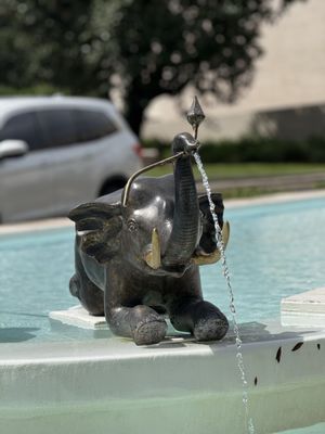 Appleton Museum of Art by null