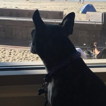 Bar Sebastian - My dog enjoyed the view of the bay - Tapas Bars Near Me - Monterey, California Bar Sebastian - My dog enjoyed the view of the bay - Tapas Bars Near Me - Monterey, California