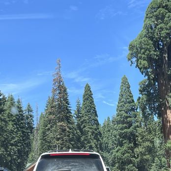 Sunset Campground - Campgrounds Near Me - Grant Grove, California Sunset Campground - Campgrounds Near Me - Grant Grove, California