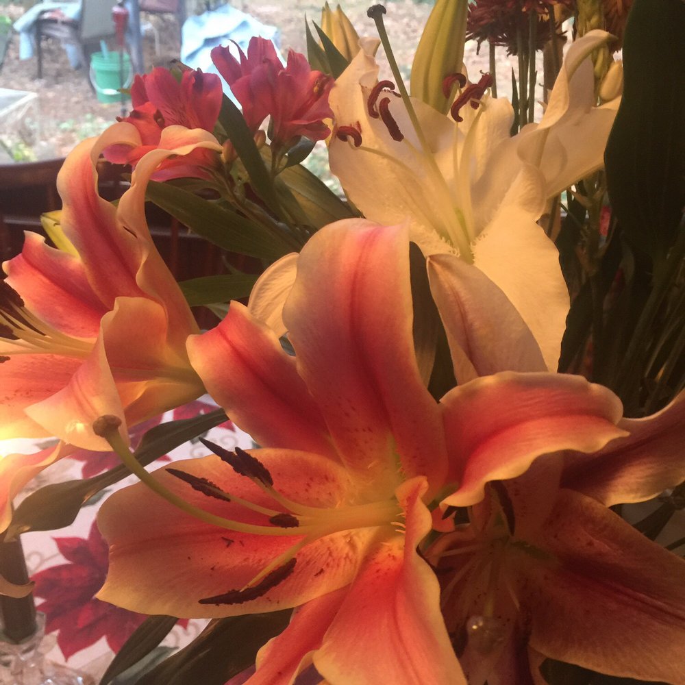 Harris Teeter - Lilies from Harris Teeter, North Ridge - Grocery Near Me - Raleigh, North Carolina Harris Teeter - Lilies from Harris Teeter, North Ridge - Grocery Near Me - Raleigh, North Carolina
