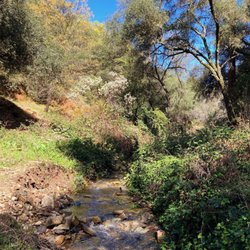 Dragoon Gulch - Trail