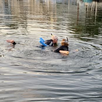 Bird's Underwater - Diving Near Me - Crystal River, Florida