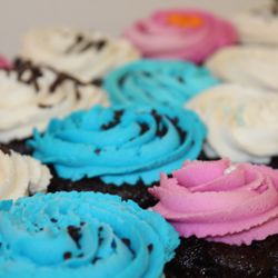 Totally Gluten Free Bakery - Amazing cupcakes