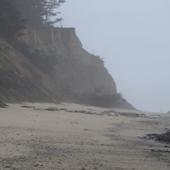 Fitzgerald Marine Reserve - Parks Near Me - Moss Beach, California Fitzgerald Marine Reserve - Parks Near Me - Moss Beach, California