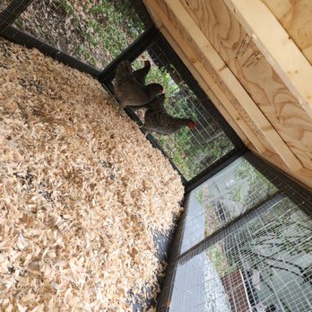 For The Birds CC - This is Speckles and Madeline. - Pet Services Near Me For The Birds CC - This is Speckles and Madeline. - Pet Services Near Me