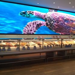 Cedraui - Fresh seafood galore