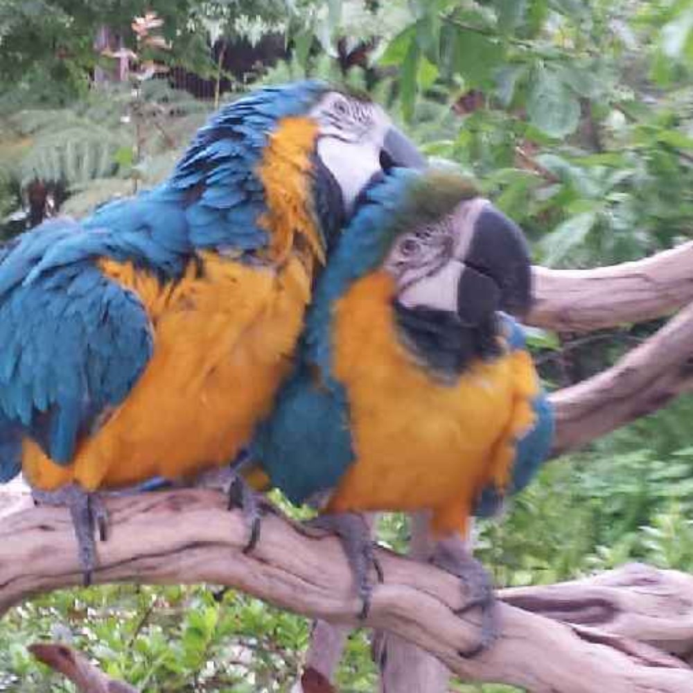 Åppellation - Nothing like a friend to help scratch an itch! - Venues & Event Spaces Near Me - Lodi, California