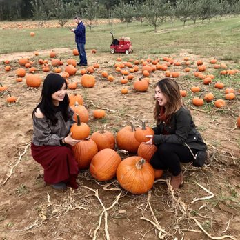 Battleview Orchards - Pumpkin farm with so many great photo ops - Pick Your Own Farms Near Me - Freehold, New Jersey