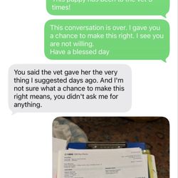Sweet baby yorkies - Receipt from VEG Emergency Clinic