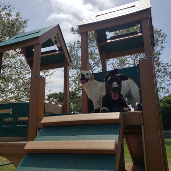 ROHR DOG PARK - Updated August 2024 - 95 Photos & 24 Reviews - 3605