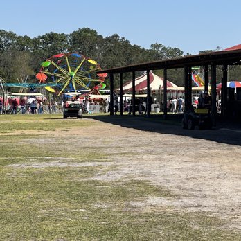 Southern Hill Farms - Fruits & Veggies Near Me - Clermont, Florida Southern Hill Farms - Fruits & Veggies Near Me - Clermont, Florida