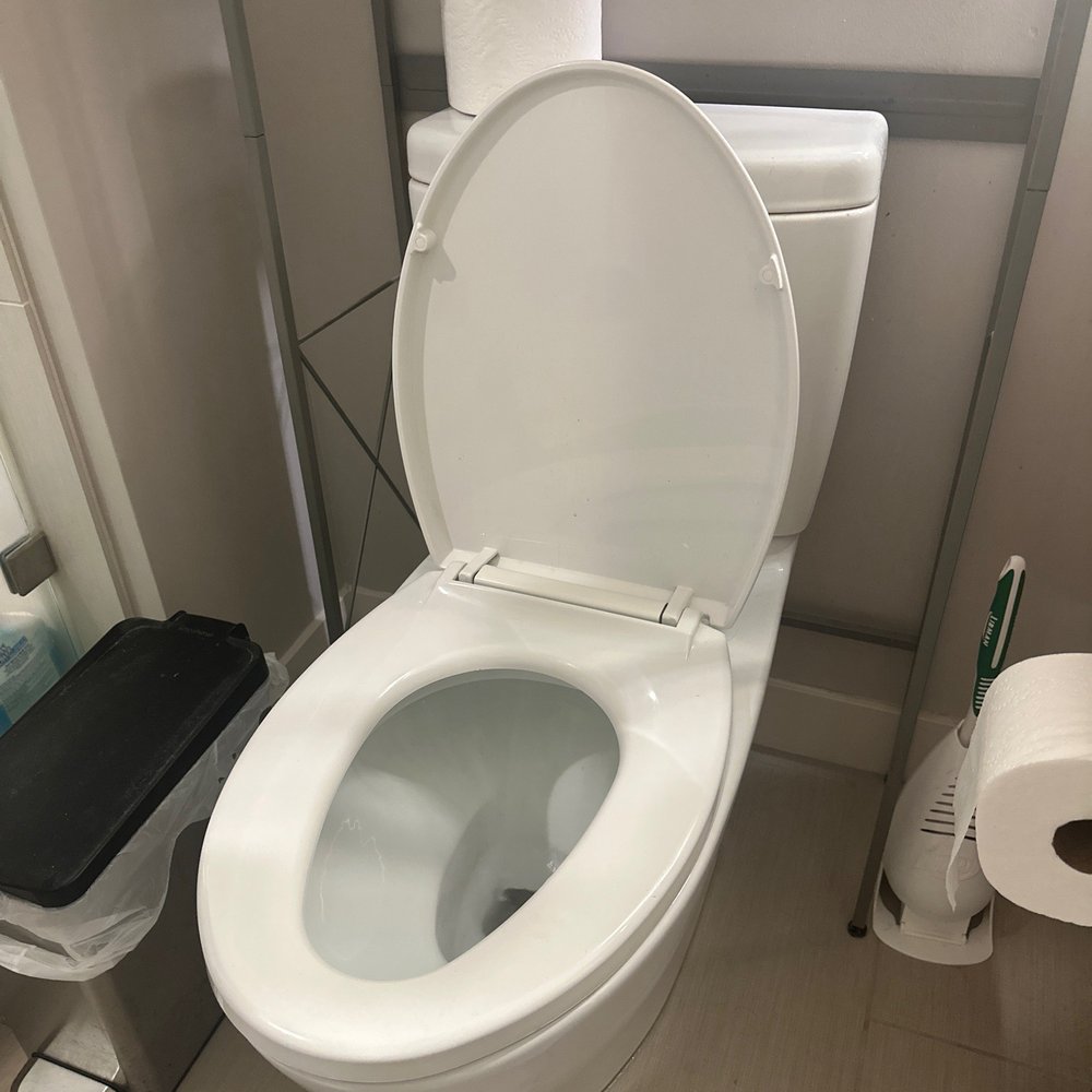 Elite Drain Solutions - The queen's thrown is stable - Plumbing Near Me - Mililani, Hawaii