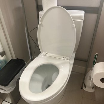 Elite Drain Solutions - The queen's thrown is stable - Plumbing Near Me - Mililani, Hawaii Elite Drain Solutions - The queen's thrown is stable - Plumbing Near Me - Mililani, Hawaii