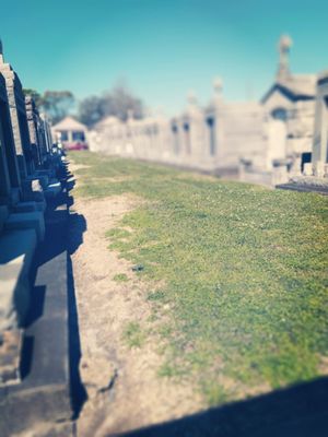 St Vincent De Paul Cemetery by null