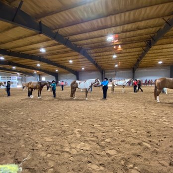 Double F Arena - Paint horse show - Horseback Riding Near Me - Hinckley, Minnesota