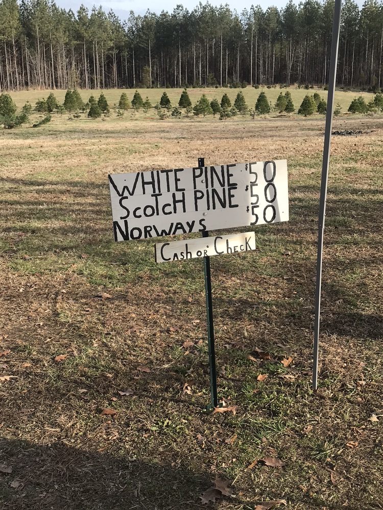 OLDE CHURCH CHRISTMAS TREE FARM 2204 Old Church Rd, Powhatan