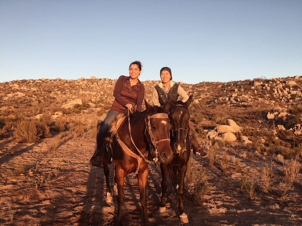 Rancho Bravo - equestrian in Hemet, CA