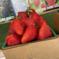 Wilton Strawberries