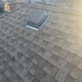 Photo of Critter Call Pest Control