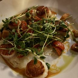 Scallops Scallops
