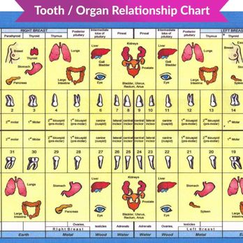 Leonard T Fazio, DDS - General Dentistry Near Me - smithtown, New York Leonard T Fazio, DDS - General Dentistry Near Me - smithtown, New York