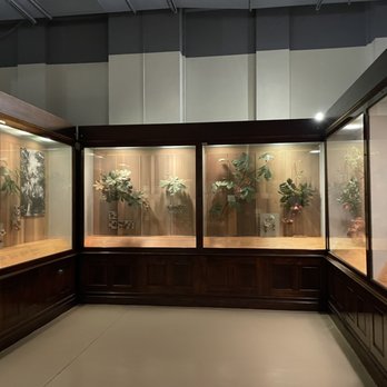 Field Museum - Plants exhibit - Museums Near Me - Chicago, Illinois Field Museum - Plants exhibit - Museums Near Me - Chicago, Illinois