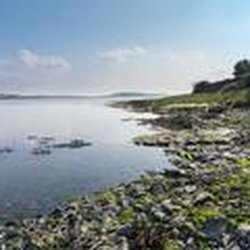 Shannon Estuary Glamping