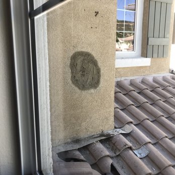 Eric The Bee Guy - Pest Control Near Me