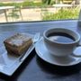 Kaldi's Coffee Roasting
