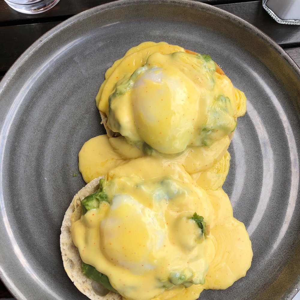 Table 9 - Avacodo Avocado Eggs Benedict - New American Near Me - Morgantown, West Virginia Table 9 - Avacodo Avocado Eggs Benedict - New American Near Me - Morgantown, West Virginia