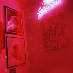 Four Brothers Drive-in - Women's Bathroom decor