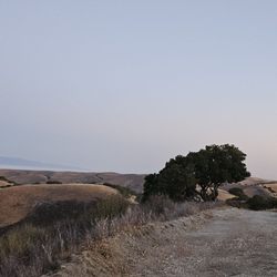 Schmidt Guide Service - Top hill view