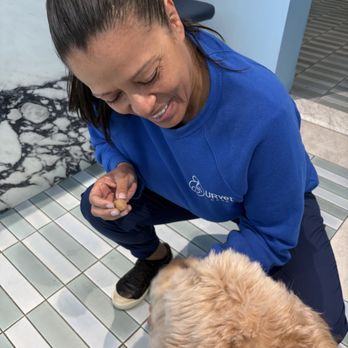 URvet Care - Tanya and Kurtis today. She's giving him a treat. Kurtis loves her. - Veterinarians Near Me - New York, New York URvet Care - Tanya and Kurtis today. She's giving him a treat. Kurtis loves her. - Veterinarians Near Me - New York, New York