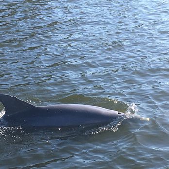 Good Natured River Tours - Boating Near Me - Melbourne, Florida