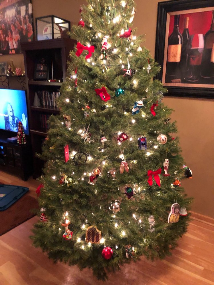 OTTMAN FAMILY CHRISTMAS TREES Updated June 2024 759 Primrose Center Rd, Belleville