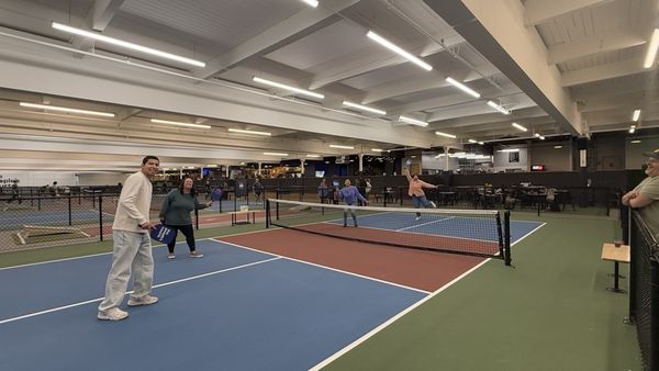 The People's Courts by null