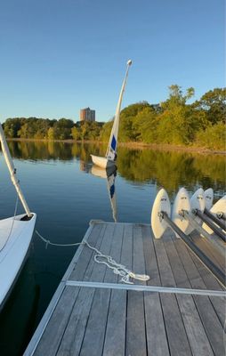 Jamaica Pond Park by null