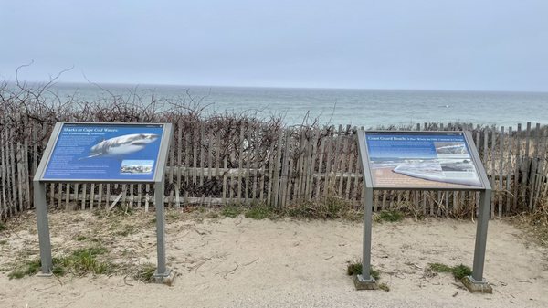 Coast Guard Beach by null