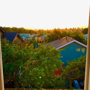 Ultimate Tree Service - AFTER - tree trimmed - Tree Services Near Me
