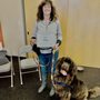 Photo of Mod Dog Training