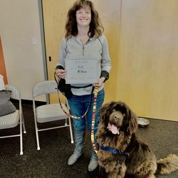 Mod Dog Training