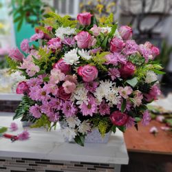 Blooming Roses