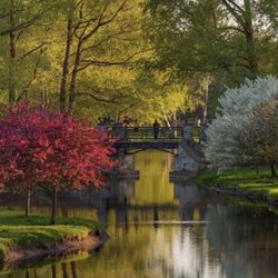Colgate University - Payne Creek, Colgate University