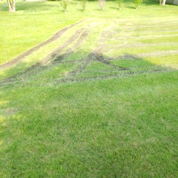 Triscape - Lawn Services Near Me - Fort Wayne, Indiana Triscape - Lawn Services Near Me - Fort Wayne, Indiana