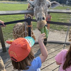 The Toledo Zoo