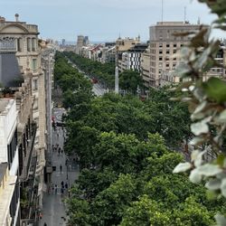 Casa Fuster
